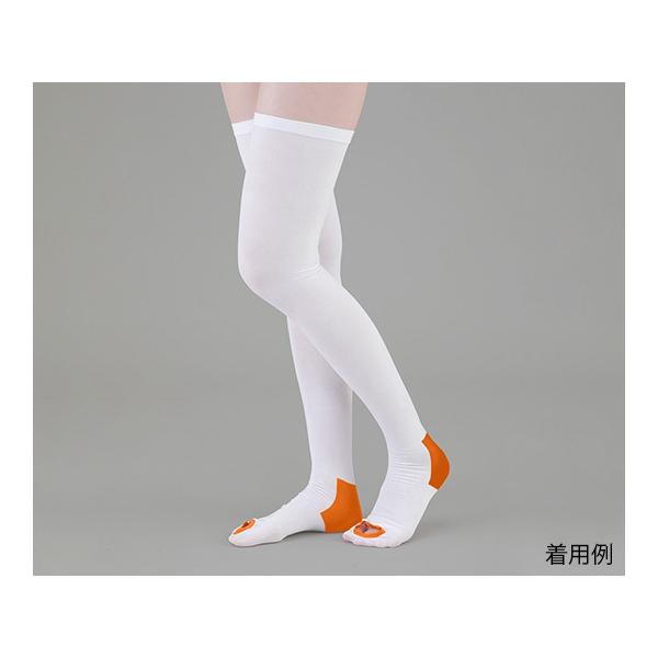 eXgbLO x[VbN XgbLO SS AY Ë@F؎擾 (9-1066-01)