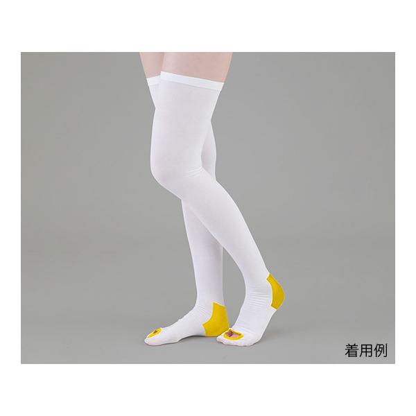 eXgbLO x[VbN XgbLO S AY Ë@F؎擾 (9-1066-02)