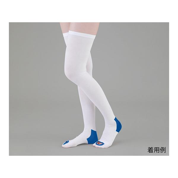 eXgbLO x[VbN XgbLO L AY Ë@F؎擾 (9-1066-04)