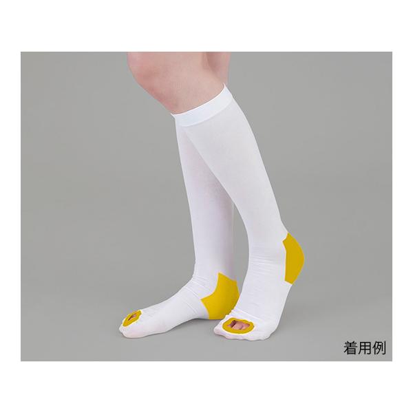 eXgbLO ~ߕt nC\bNX S AY Ë@F؎擾 (9-1067-02)