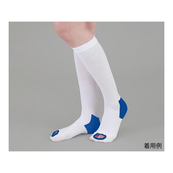 eXgbLO ~ߕt nC\bNX L AY Ë@F؎擾 (9-1067-04)