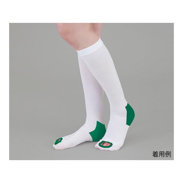 eXgbLO ~ߕt nC\bNX LL AY Ë@F؎擾 (9-1067-05)