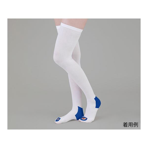 eXgbLO ~ߕt XgbLO L AY Ë@F؎擾 (9-1068-04)