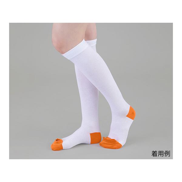 eXgbLO Rbg nC\bNX SS AY Ë@F؎擾 (9-1069-01)