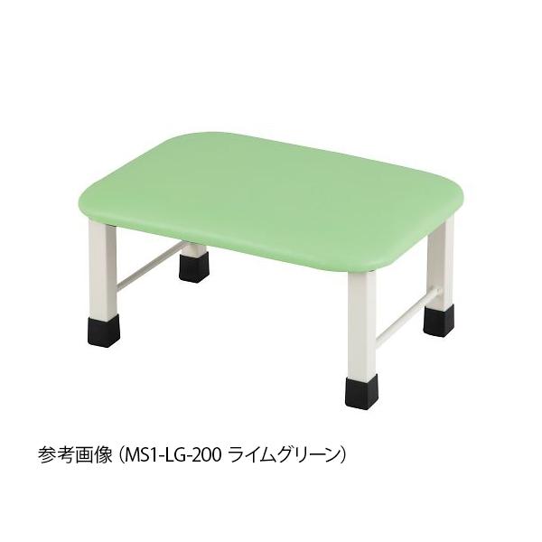 ~jݑ 1i 400×300×250mm CO[ AY MS1-LG-250 (9-1703-02)