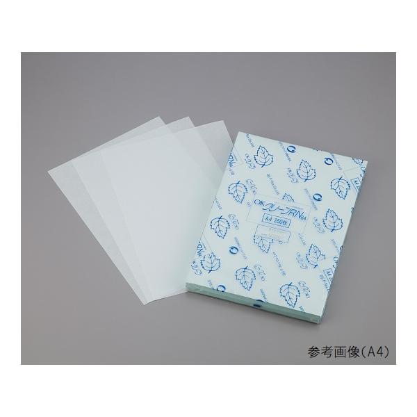 N[[po OKN[RN 1 250×5 A3 (9-5639-01)