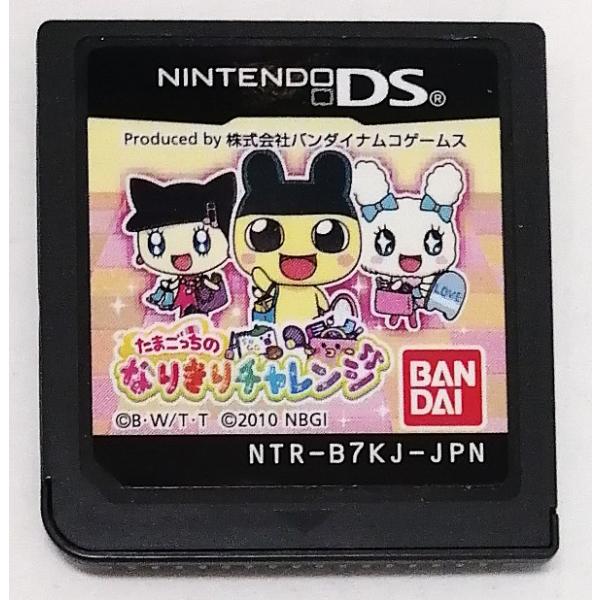 説明書・ケースなしのソフトのみです。