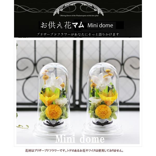 プリザーブドフラワー 仏花 お供え花 対デザインset Miniマム ミニドーム ブリザードフラワー ミニ仏壇用 一対 初盆 小仏壇 モダン ミニ仏花 法事 法要 Buyee 日本代购平台 产品购物网站大全 Buyee一站式代购 Bot Online