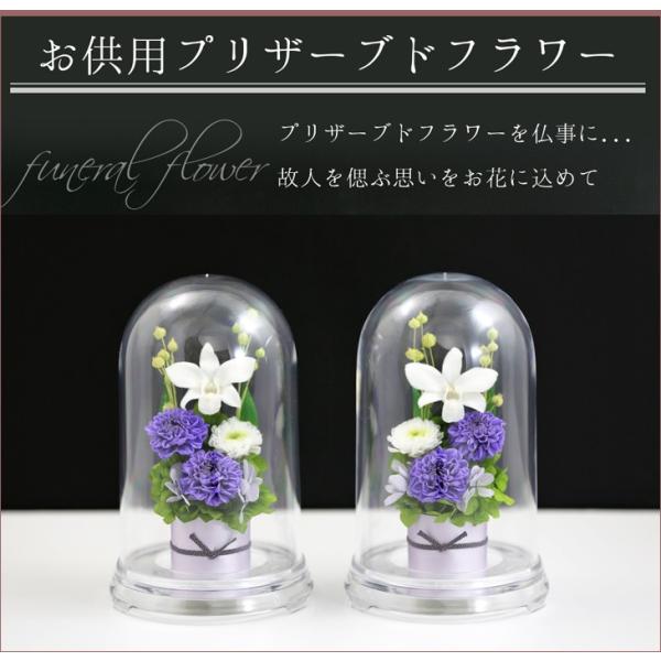 プリザーブドフラワー 仏花 新盆 対デザインset お供え花ドーム お供え花 プリザードフラワー 新盆 初盆 仏壇用 一対 法事 初七日 法要 通夜 葬儀 弔電 Buyee Servis Zakupok Tretim Licom Buyee Pokupajte Iz Yaponii