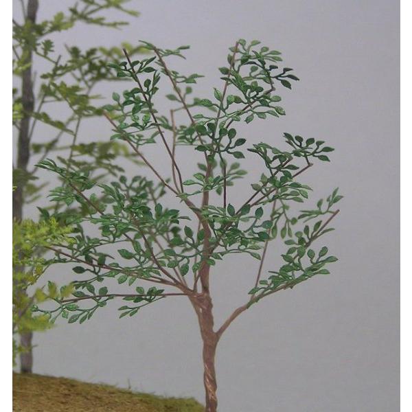 商品画像は着色完成例となっております。無着色のペーパークラフトとなっております。使用場所を選ばない雑木の葉です。葉脈も再現されています。葉は再生紙をレーザーカットしてあり、塗装後に台紙との接続部分を切り離します。＊幹は付属しません。キット数...