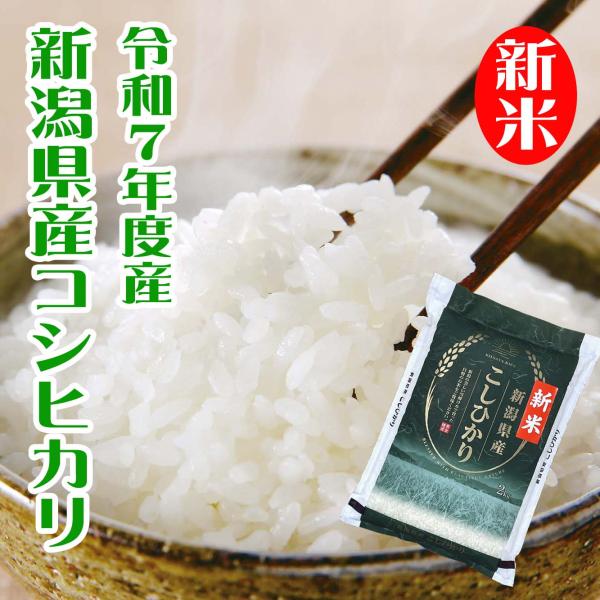 米 コシヒカリ 新潟県産 新潟県産コシヒカリ 2kg 新米 7年度産 送料無料 お米 白米 ふっくら 爆買