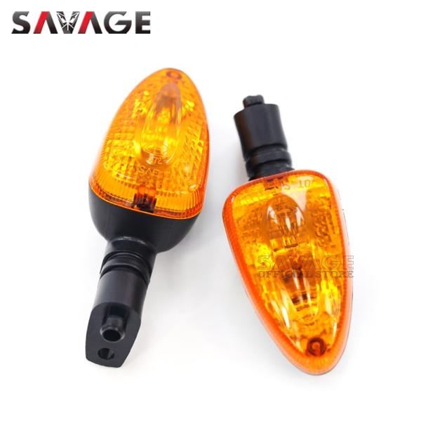 aaps_savage-ts-r1200r-2