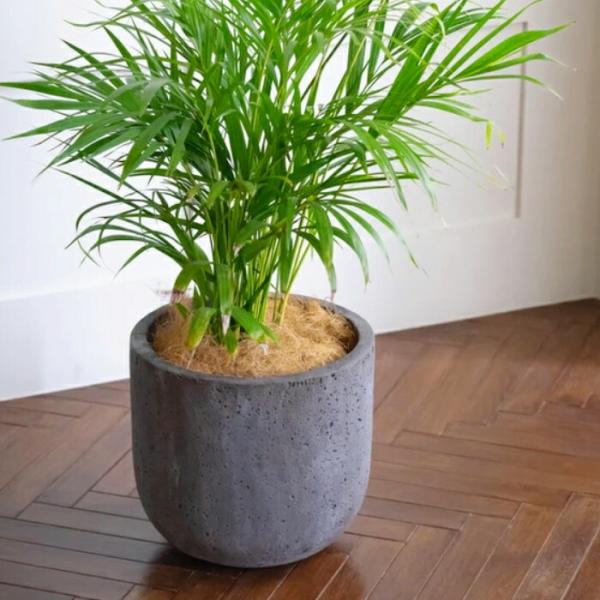 aarde-pot_gp-anru4043
