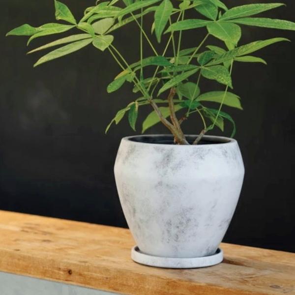 植木鉢　陶印あり 植木鉢 おしゃれ 陶器鉢 レイブンS (2色)＜ 17.5cm 5号 穴あり 受け皿