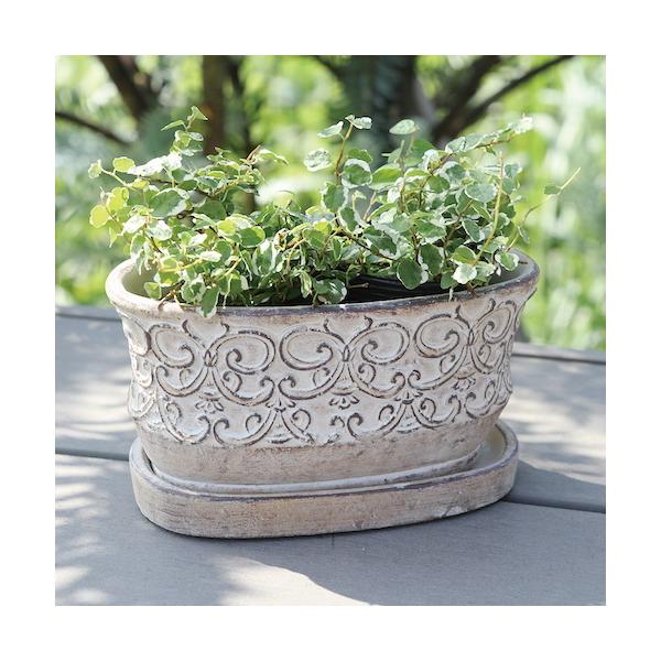 植木鉢 おしゃれ アンティーク クララオーバルポットL＜ 23cm x 12cm 楕円 底穴あり 受け皿付き 白 ホワイト ベージュ セメント プランター 室内 屋外 観葉植物