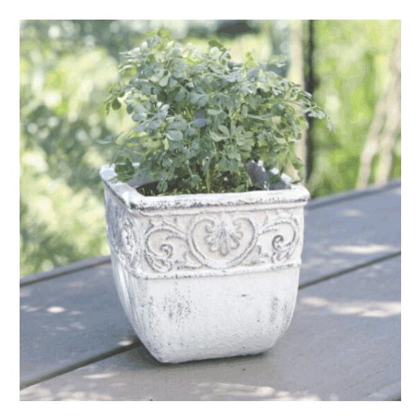植木鉢 四角 アンティーク クラナスキューブS＜ 13cm 4号 穴あり 白 ホワイト 陶器鉢 底穴あり プランター おしゃれ 丸み 寄せ植え 室内 屋外 多肉植物 観葉植物