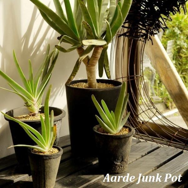 aarde-pot_junk407mb