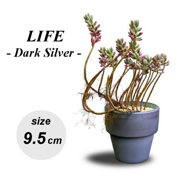 植木鉢 おしゃれ 陶器鉢 三河焼 ライフダークシルバーS 9.5cm 3号 底穴あり プランター 鉢 室内 屋外 鉢植え 観葉植物 多肉植物 塊根