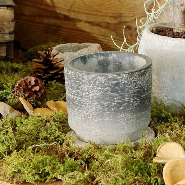 植木鉢 おしゃれ セメント テトラL 15cm 5号 穴あり 受け皿あり コンクリート プランター 鉢 室内 屋外 鉢植え 観葉植物 多肉植物 塊根