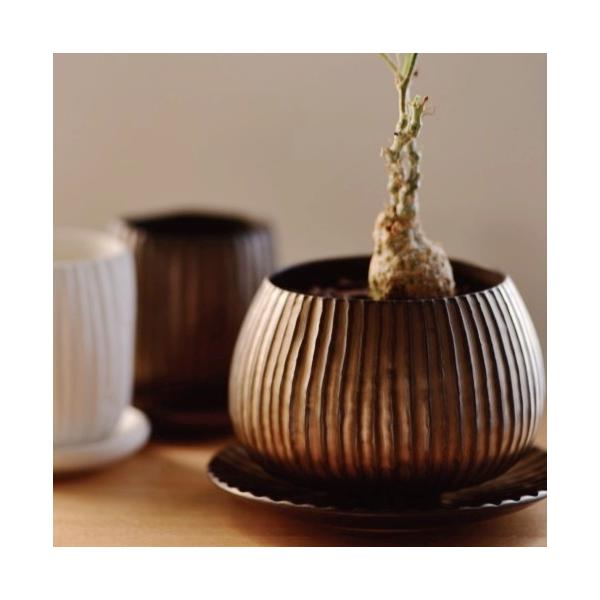植木鉢 おしゃれ 陶器鉢 ラピスボウル(2色) 10.5cm 3.5号 穴あり 受け皿あり プランター 鉢 室内 鉢植え 観葉植物 多肉植物 塊根