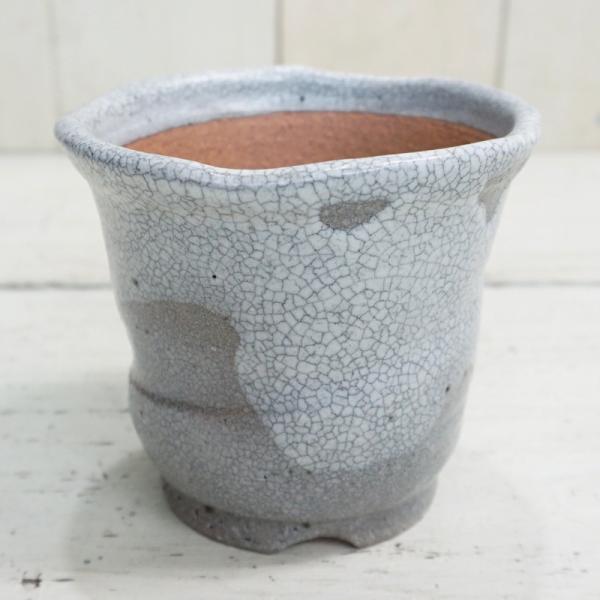 未使用品　信楽焼き　大きな　ダックスフント　器　陶器　プランター　鉢　釉薬 aarde-pot_s9075-04