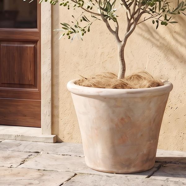 植木鉢 おしゃれ テラコッタ テラアストラアダーラM 32cm 11号 底穴あり プランター 鉢 室内 屋外 鉢植え 観葉植物 多肉植物 塊根