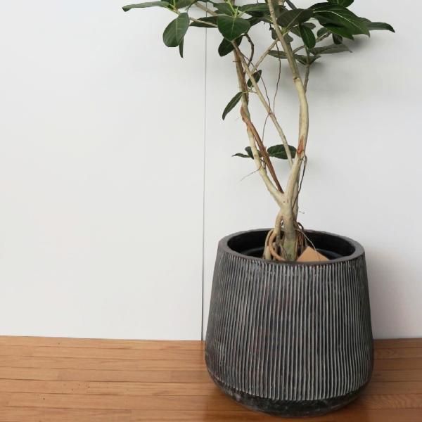 置物　テラコッタ　アートコレクション Amazon.co.jp: ☆庭作りのアクセント☆ テラコッタ製 ボール