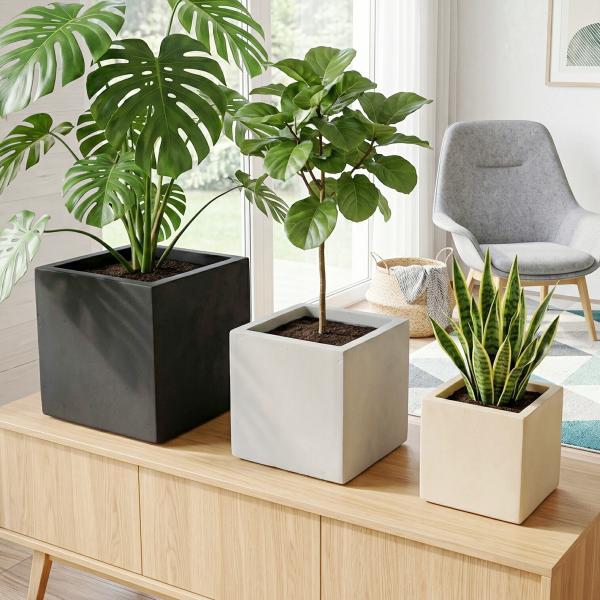 植木鉢 おしゃれ サーンプルスクエアS (3色) 外寸22.5cm グレー 白 黒 アイボリー 大型 プランター 鉢 室内 屋外 鉢植え 観葉植物 塊根植物 サボテン