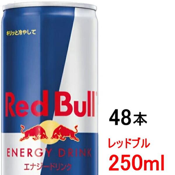 レッドブル　RedBull　250ml　2ケース　48本　【送料無料　北海道、九州、沖縄、離島を除く】　