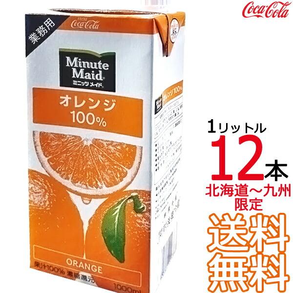 Minute Maid 【送料無料 北海道から九州限定】 ミニッツメイド
