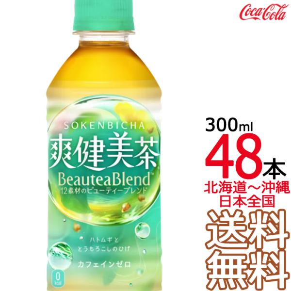 飲むダイヤモンド！【健養泉】今だけ送料無料（離島は別料） 不老泉 特別純米 中汲み 無濾過生原酒 | Sake World