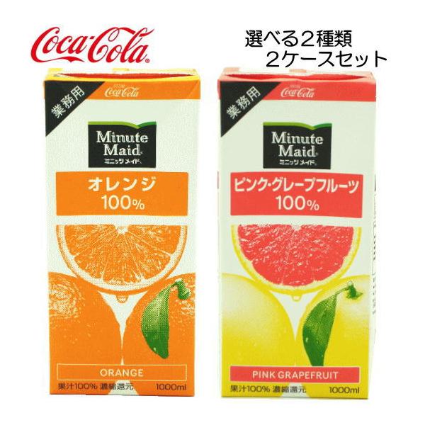 日本コカコーラ ミニッツメイド オレンジ 100% 1L×12本 紙パック (野菜 