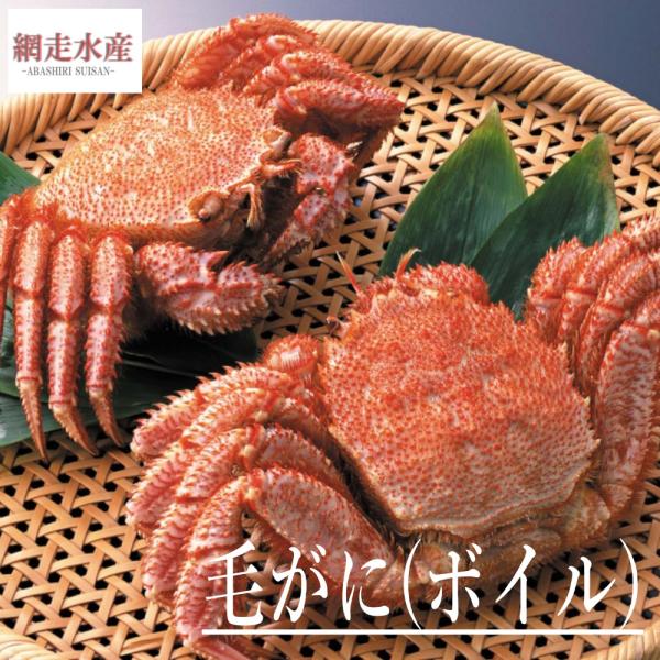 毛がに 2尾で800g ボイル冷凍/ギフト 贈答用 プレゼント カニ 蟹