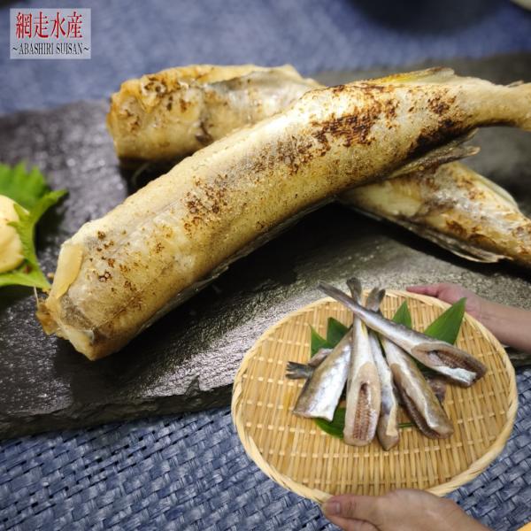 □ 商品説明 □【ご注意】焼いてありませんので必ず加熱してお召し上がりください。食通に愛される「こまい」は、北海道ではとてもポピュラーな魚です。炙ってマヨネーズと一味(もしくは七味・醤油等)を混ぜた調味料をつけると・・・・美味しい!!北海道...