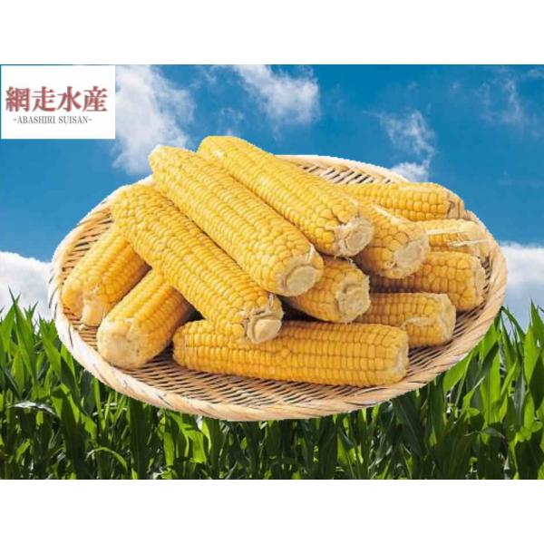 □ 商品説明 □季節を問わず北海道のとうきびが味わえる！新鮮採りたてのとうもろこしの風味と甘さを逃がさぬよう、そのまま冷凍してお届けいたします。お花見やバーべキュー、運動会やお祭りなどイベントにも幅広く皆様にお使いいただいております。□ 内...