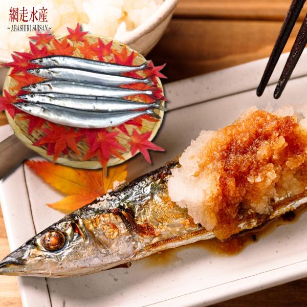 □ 商品説明 □近年では価格の高騰により高級魚の仲間入り？とも噂されるさんま細長い体で腹が銀白色に輝き、刀を連想させることから秋刀魚と名付けられ、秋の味覚の代表格として親しまれているお魚です。秋に最も脂が乗り、特に旬の時期に焼き魚として塩焼...