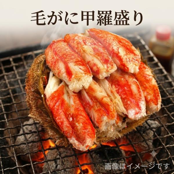 毛がに甲羅盛り 1個・280ｇ/贈答用 プレゼント ギフト  ご馳走 カニ 蟹 毛ガニ オードブル F785