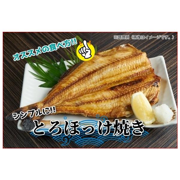 うまい魚たち ｃ セット 北海道産ホッケ カレイ ハラス こまい ギフト 贈答 プレゼント 景品 Buyee Buyee Japanese Proxy Service Buy From Japan Bot Online