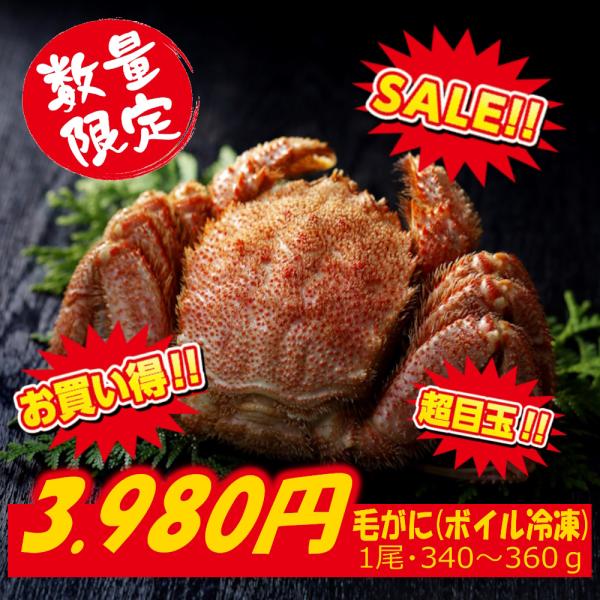 毛がに（ボイル冷凍）1尾・340〜360ｇ (ボイル冷凍)/＜新発売・春の大特価！＞ギフト 贈答用 プレゼント