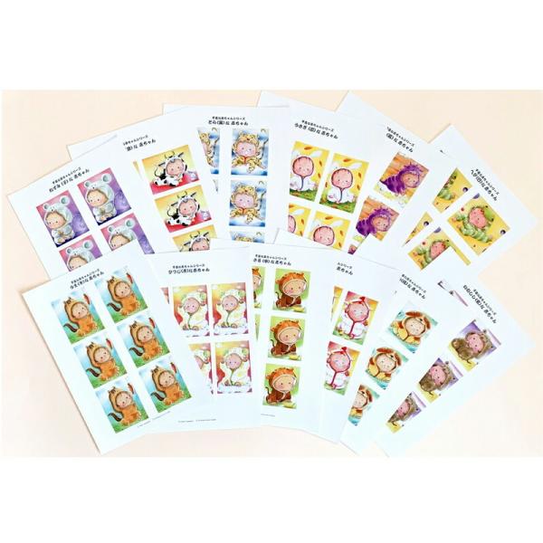 Vh[vgx̐ԂV[Y 12xZbg  [/z։ 3d-ya0014