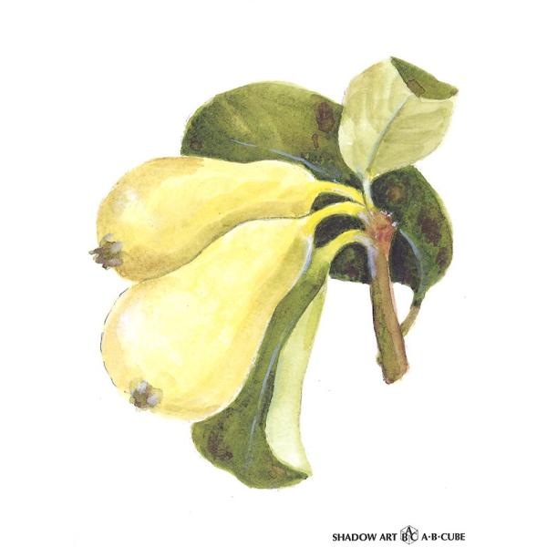 Vh[vgAEBECUBE mȂ  C109