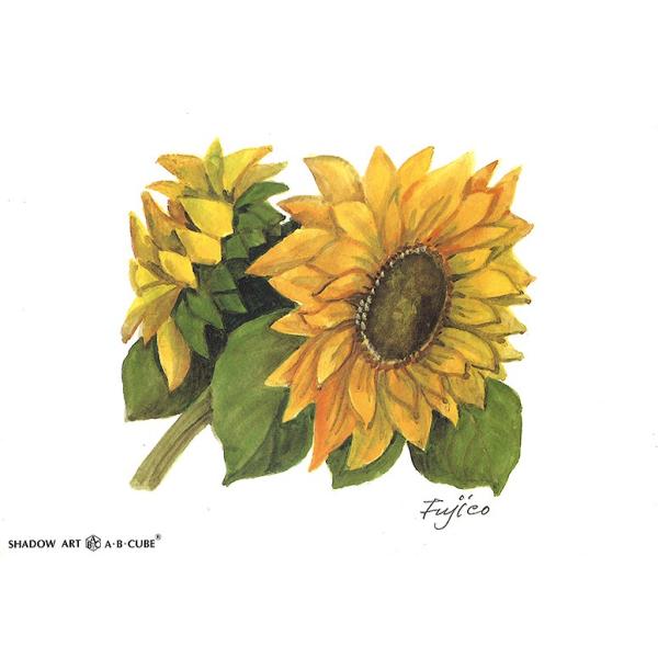 Vh[vgAEBECUBE Ђ܂  C132