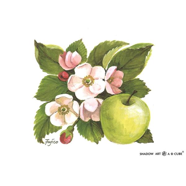 Vh[vgAEBECUBE 񂲂̉  C144-1