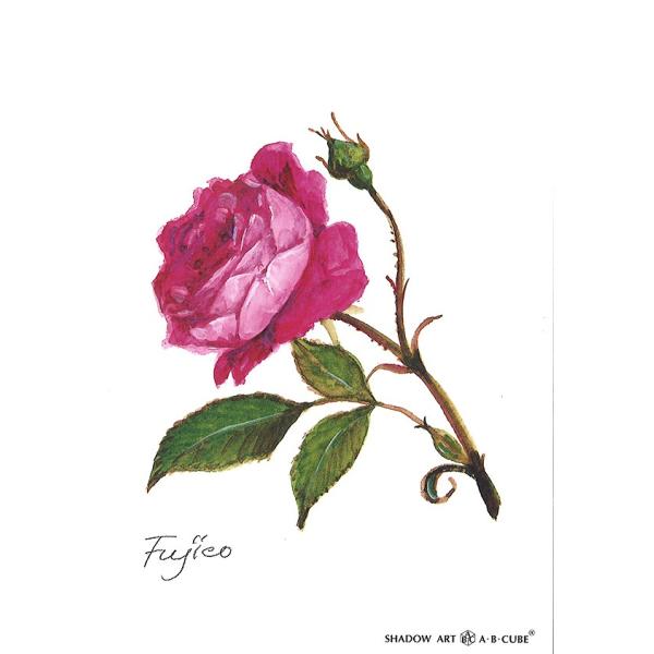 Vh[vgAEBECUBE ȂF̂΂  C156