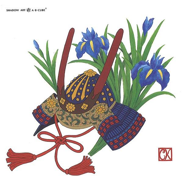 Vh[vgAEBECUBE   C210