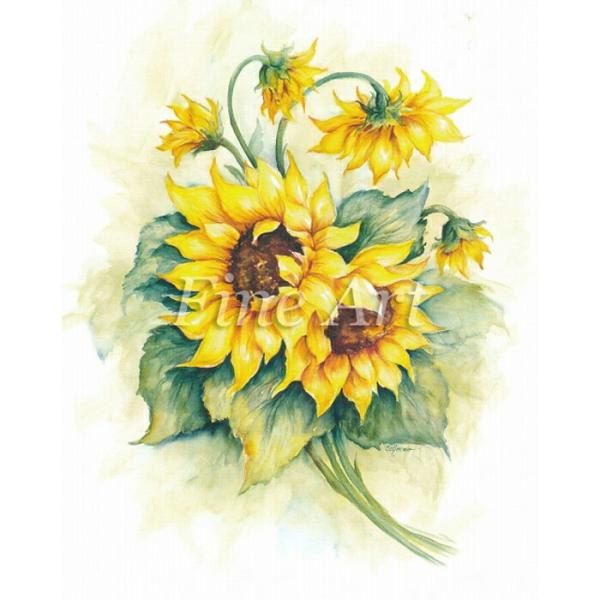 Vh[vg Ђ܂ [/z։ fa18-002