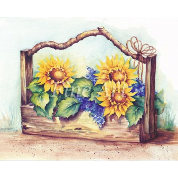 Vh[vg Ђ܂̊񂹐A 4×5C`  FA18-016