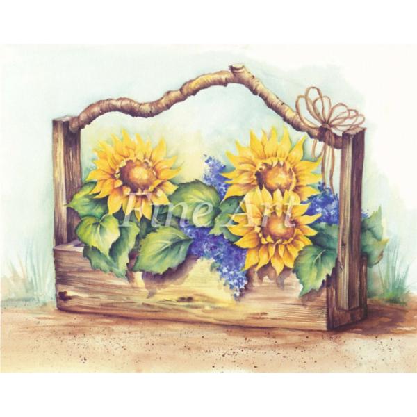 Vh[vg Ђ܂̊񂹐A 8×10C`  FA18-071