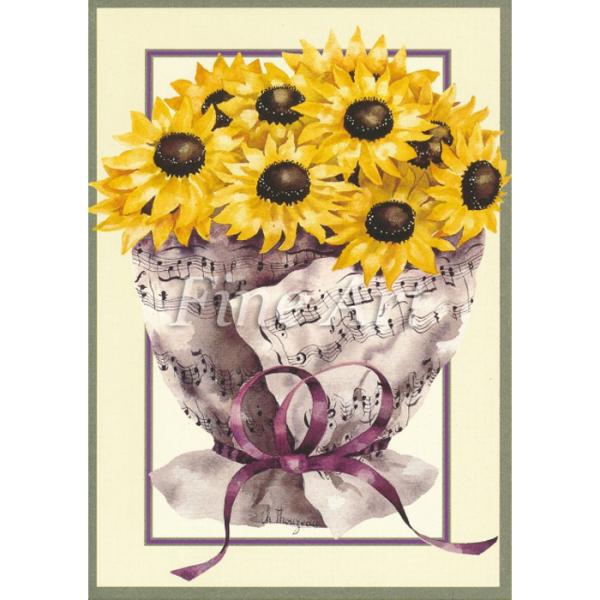 Vh[vg Ђ܂̉ԑ  [/z։  fa19-005