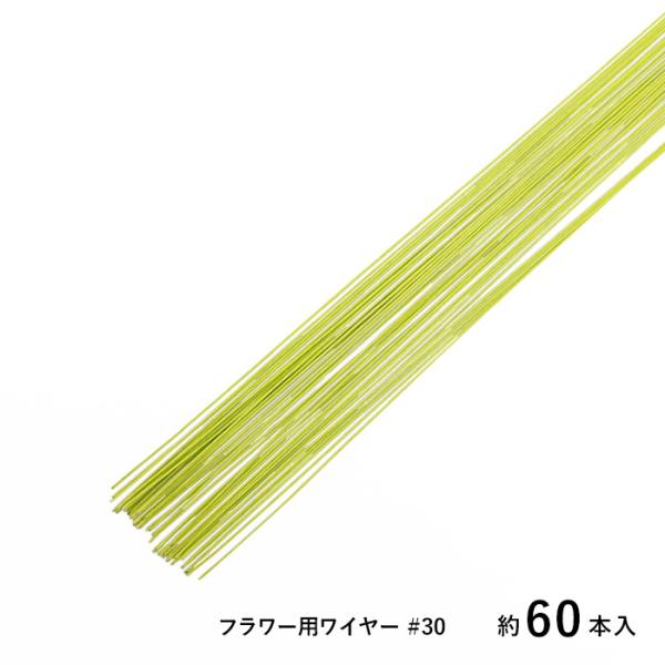 SUNRISE 地巻ワイヤー フラワー用ワイヤー #30 ライトグリーン 約60本入